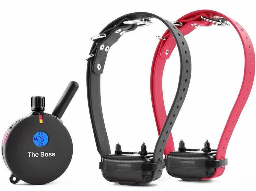 E-Collar Educator ET-800 The Boss Remote Dog Training Collar, 1 Dog, Black