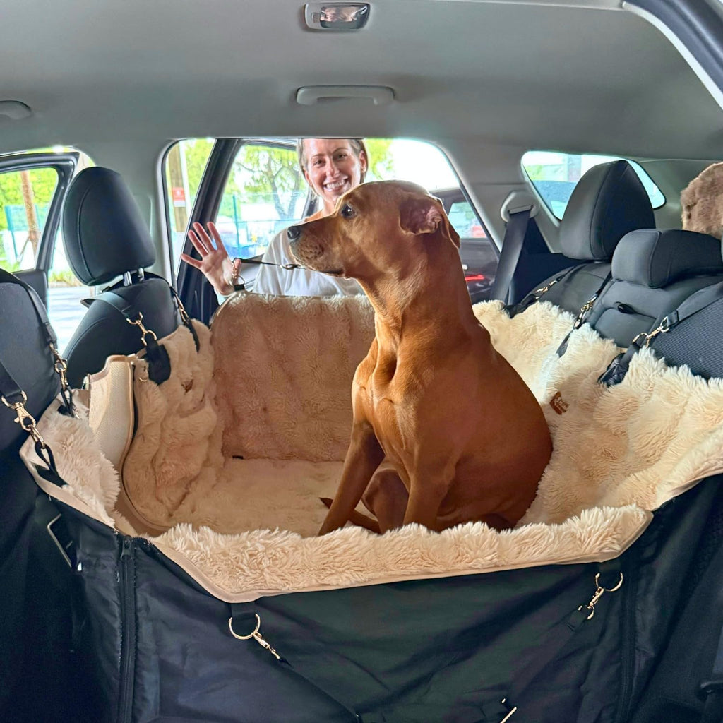 Pelsbarn Luxurious Dog Backseat Protector, Car Hammock with Blanket, Beige
