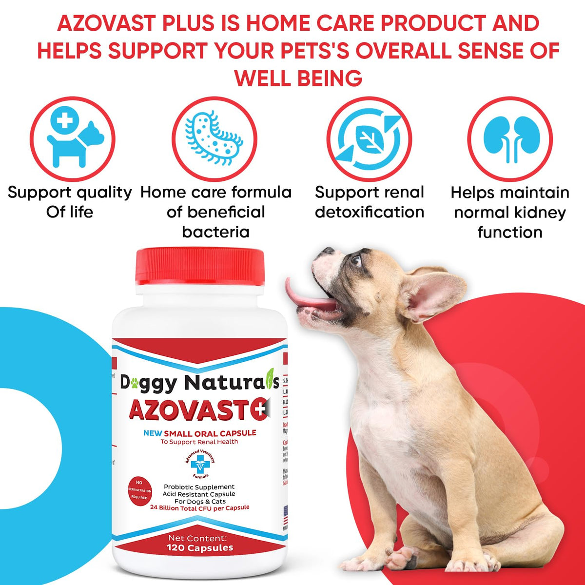 Azovast Plus Kidney Health Supplement for Dogs & Cats -24 Billion CFU- NO Refrigeration Required - Help Support Kidney Function & Manage Renal Toxins - Renal Care Supplement Capsule(U.S.A)(360 Caps)