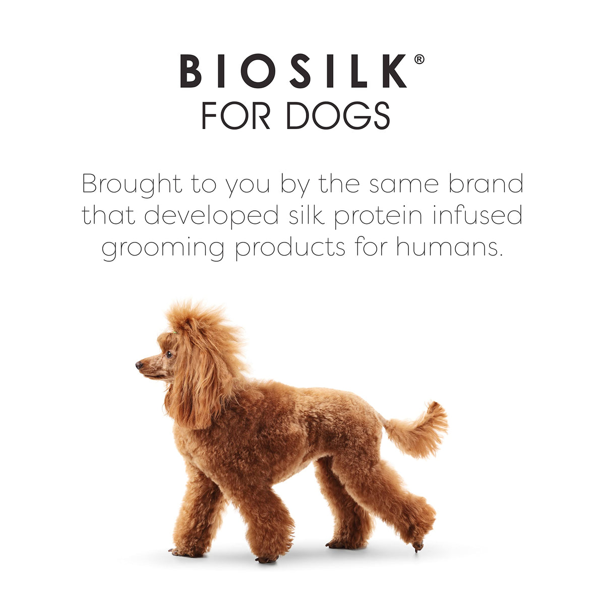 BioSilk for Pets Eco-Friendly Detangling Pin Brush for Dogs, 48-Pack