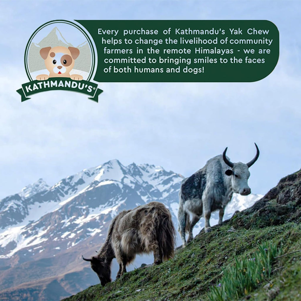 Yak Cheese Himalayan Yak Chews, Long-Lasting Hard Chew for Dogs, 20 Count