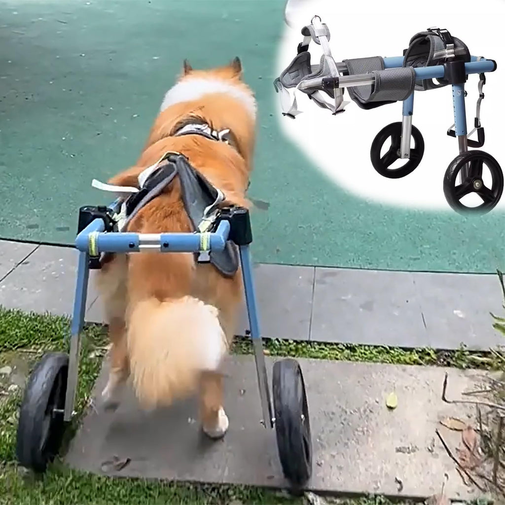 Adjustable 2 Wheels Dog Wheelchair for Back Leg, Dog Mobility Support Cart Suitable for Various Terrains, Doggie Rehabilitation Cart Leg Brace(Size XXL)