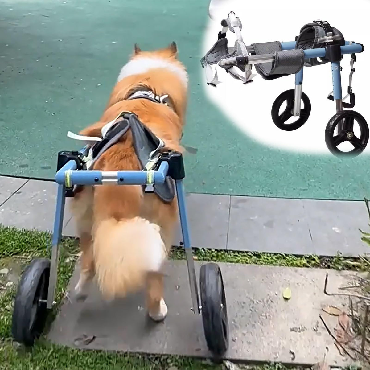 Adjustable 2 Wheels Dog Wheelchair for Back Leg, Dog Mobility Support Cart Suitable for Various Terrains, Doggie Rehabilitation Cart Leg Brace(Size XXL)