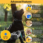 E-Collar Educator ET-302R-C Remote Dog Training Collar, 2 Dog, Red