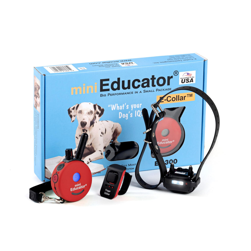 E-Collar Educator ET-302R-C Remote Dog Training Collar, 2 Dog, Red