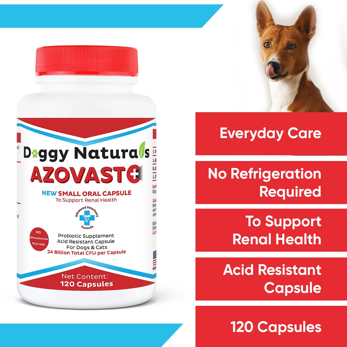 Azovast Plus Kidney Health Supplement for Dogs & Cats -24 Billion CFU- NO Refrigeration Required - Help Support Kidney Function & Manage Renal Toxins - Renal Care Supplement Capsule(U.S.A)(360 Caps)