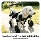 Dog with Harness , M Size, Suitable For 15-40 Kg Dogs , Black , color to 1