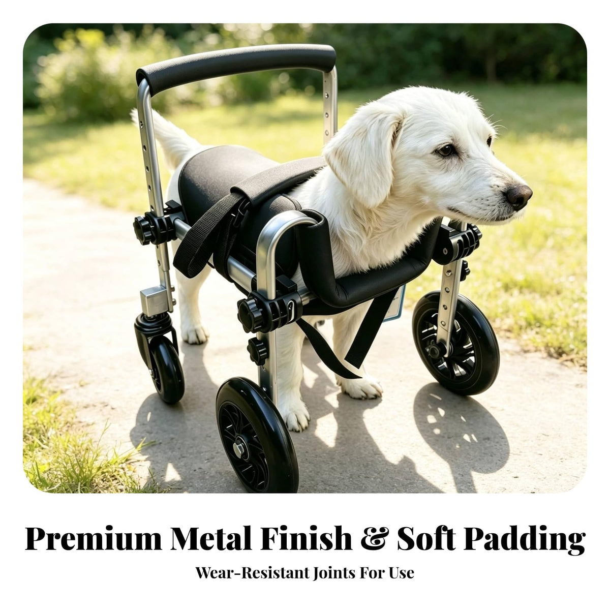Dog with Harness , M Size, Suitable For 15-40 Kg Dogs , Black , color to 1