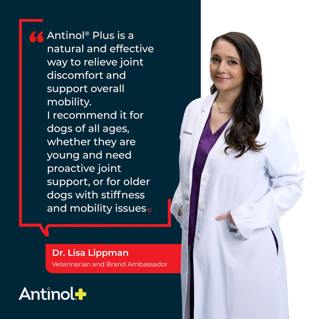 Antinol Plus Mobility Hip & Joint Supplement for Dogs, 180 Soft Gels