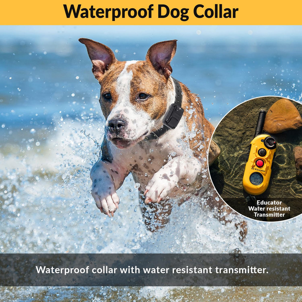 E-Collar Educator EZ-900 Dog Training Collar with Remote, Yellow