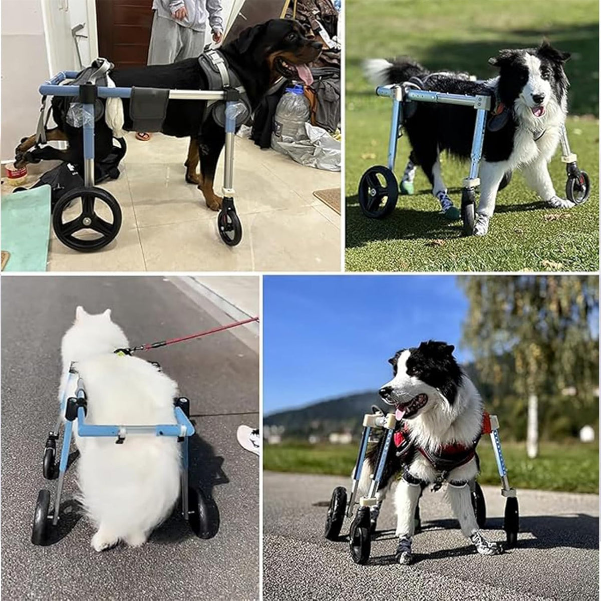 Adjustable Dog Wheelchair for Mum & Dogs 4 Wheel li Aid for Rear Legs Pet Support for Cats & Rabbits(Large)