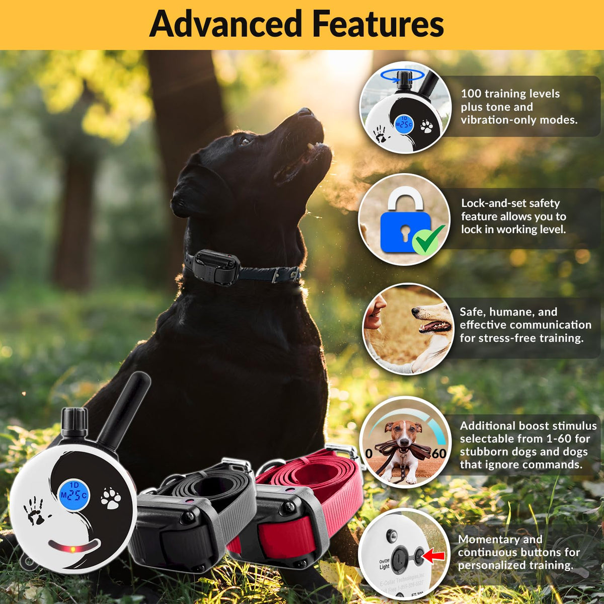 E-Collar Educator ZEN-302 Remote Dog Training Collar, 2 Dog