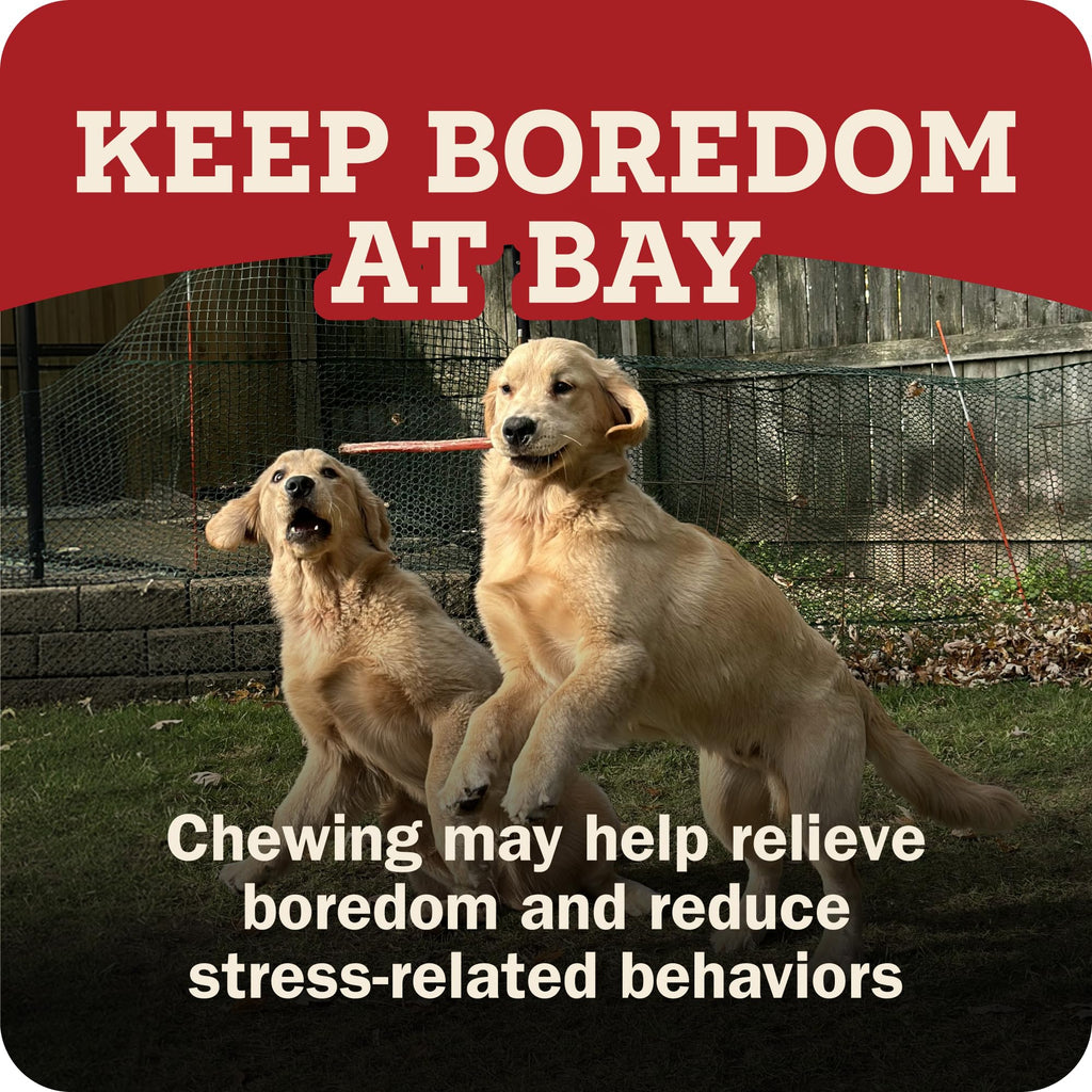 Redbarn 12" Bully Sticks 100% Natural Beef Dog Chew Rawhide Free Case of 35