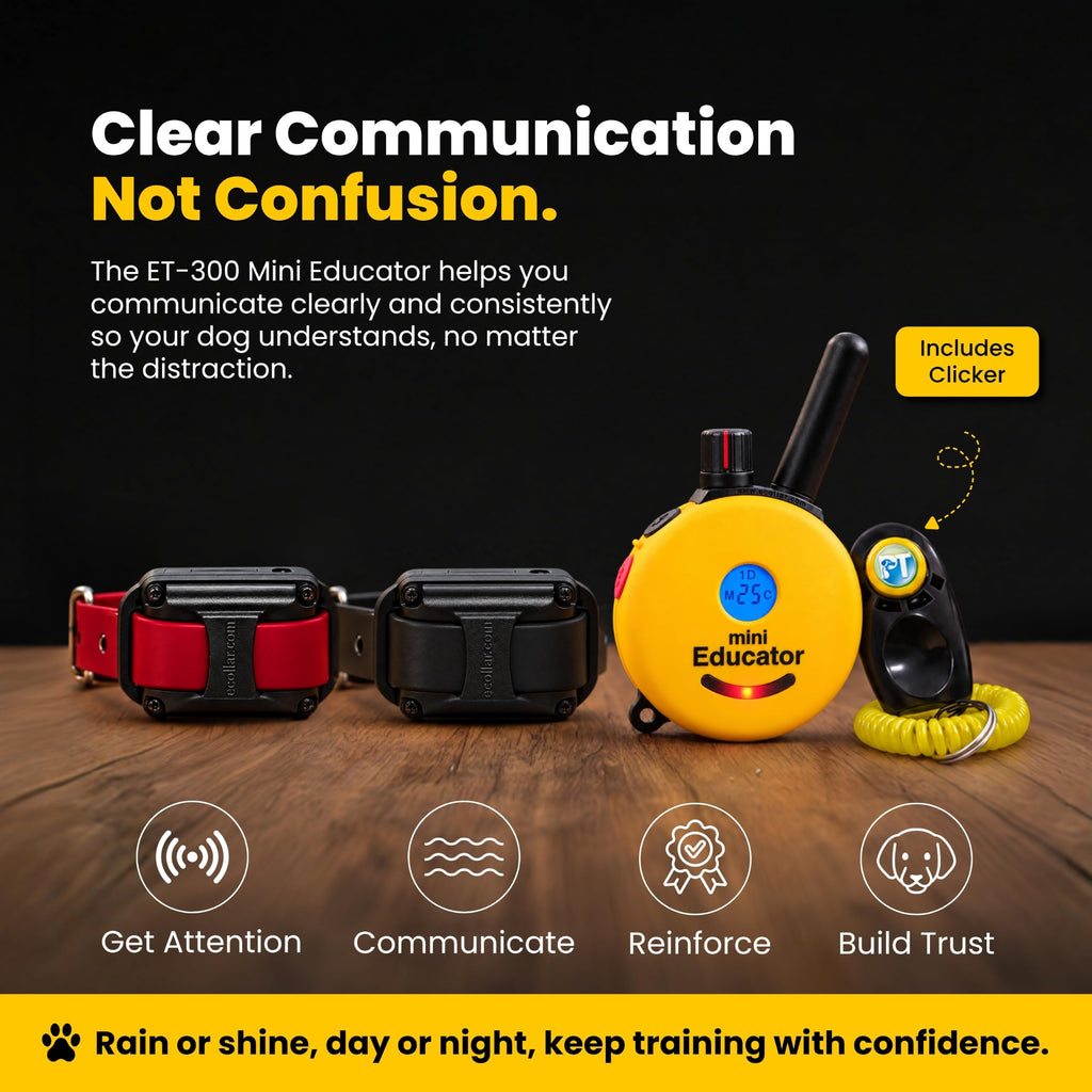 Educator ET-302 Mini E Collar for Dog Training with Remote - 1/2 Mile Range, Waterproof, 100 Blunt Stimulation Levels, Tone or Vibration Mode, Night Light for Small, Medium & Large Dogs (2 Dogs)
