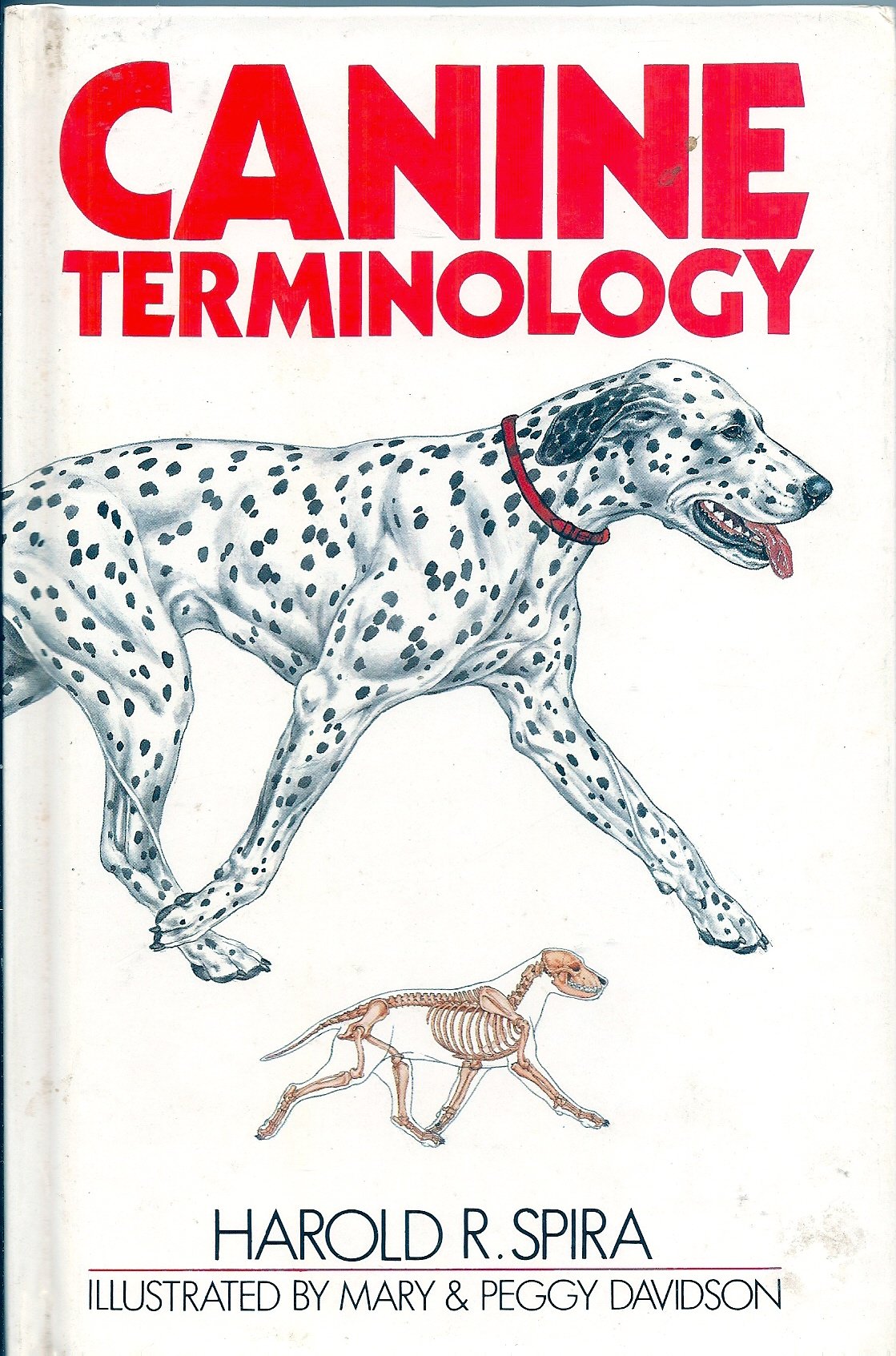 Canine Terminology