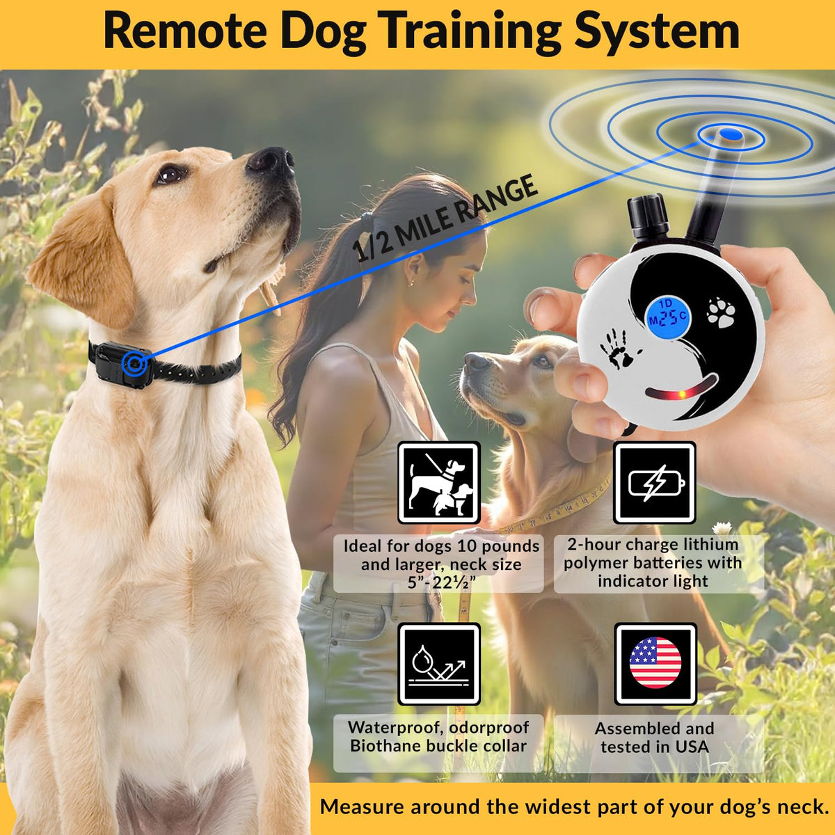 E-Collar Educator ZEN-302 Remote Dog Training Collar, 2 Dog
