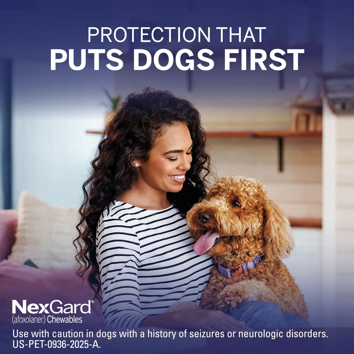 NexGard® (afoxolaner) Flea and Tick Protection for Dogs Oral Soft Beef Flavored Chewables, 24.1 to 60 lbs. (Purple Box) 6 Chews (6 Month Supply)