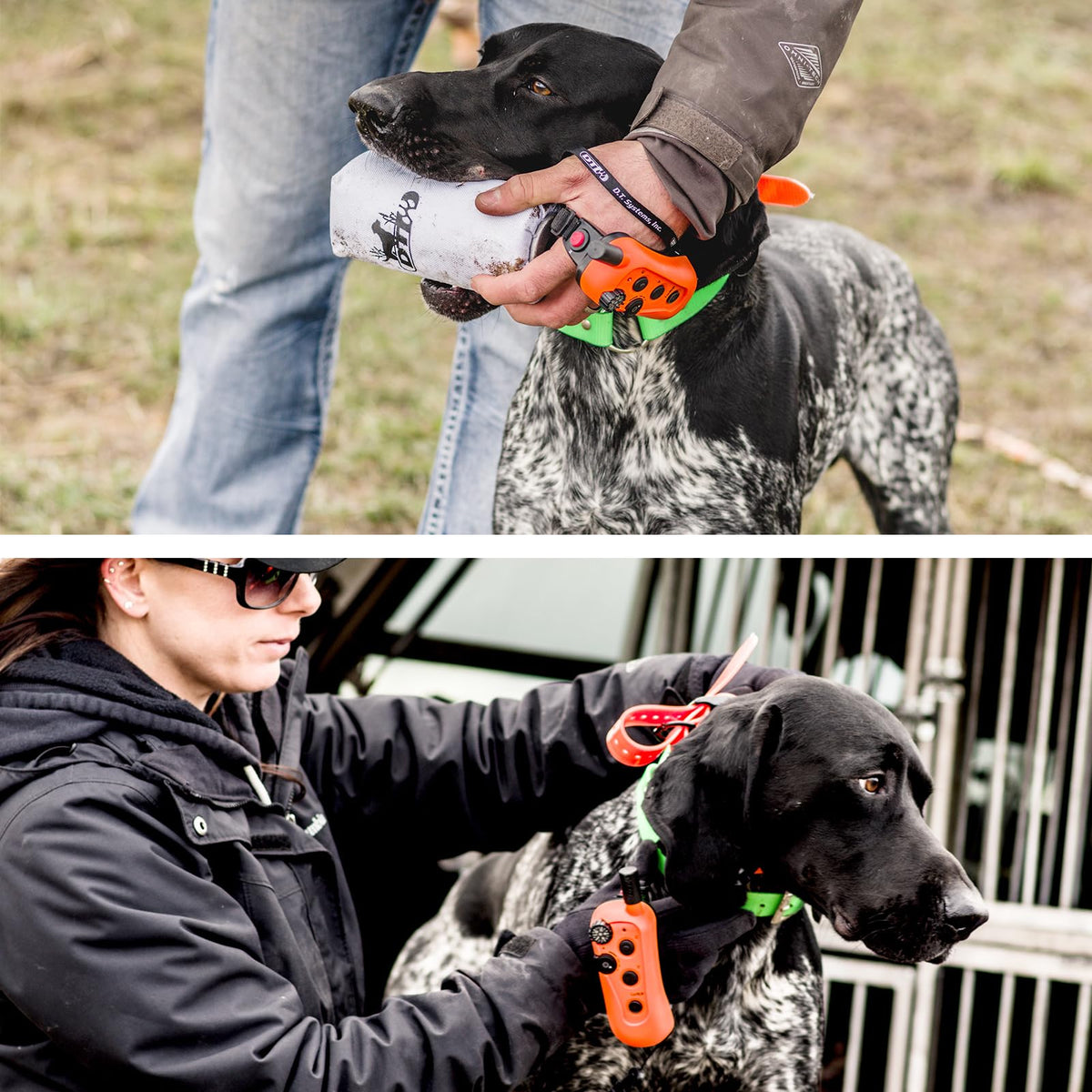 DT SYSTEMS RAPT1450 Upland Beeper E-collar - Compact Adjustable Expandable Remote Dog Trainer, 1400-Yard Range - Rechargeable Waterproof Collar & Floating Remote/Transmitter