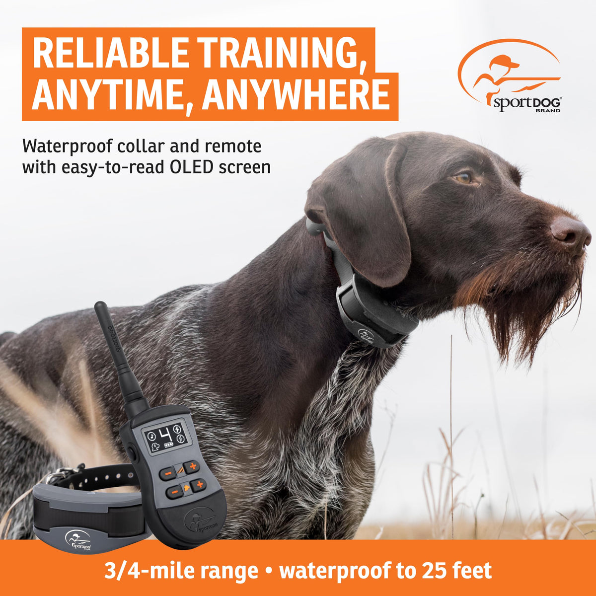 SportDOG SportTrainer 1275 Remote Dog Trainer, Black , 3/4 Mile Range