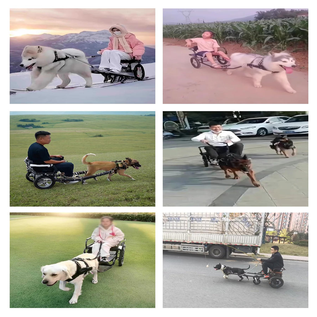Dog Carts for Dogs to Pull People Dog Trailer with Harness Detachable Dogs Pull Carts Dog Walking Carts Can Carry People for Small Medium Large Dogs, Load Capacity 100kg(Size:22lb-88lb)
