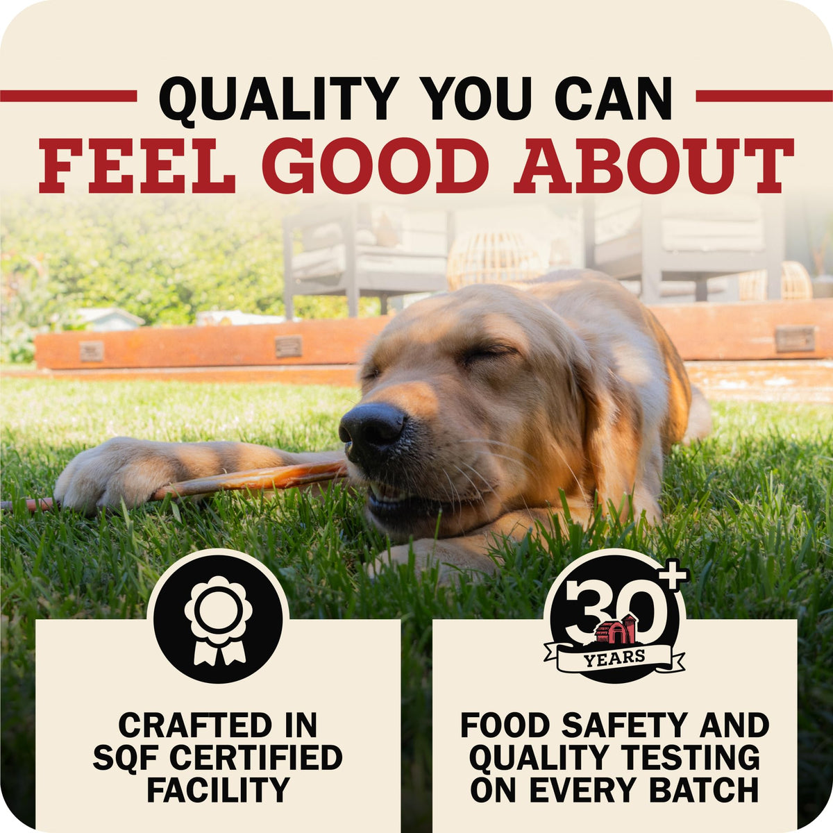 Redbarn 12" Bully Sticks 100% Natural Beef Dog Chew Rawhide Free Case of 35