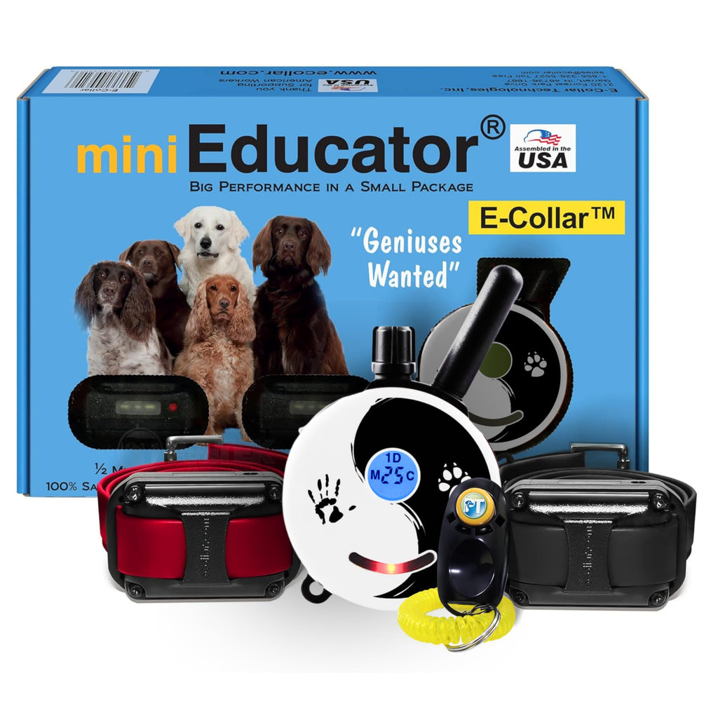 Educator ET-302 Mini E Collar for Dog Training with Remote - 1/2 Mile Range, Waterproof, 100 Blunt Stimulation Levels, Tone or Vibration Mode, Night Light for Small, Medium & Large Dogs (2 Dogs)