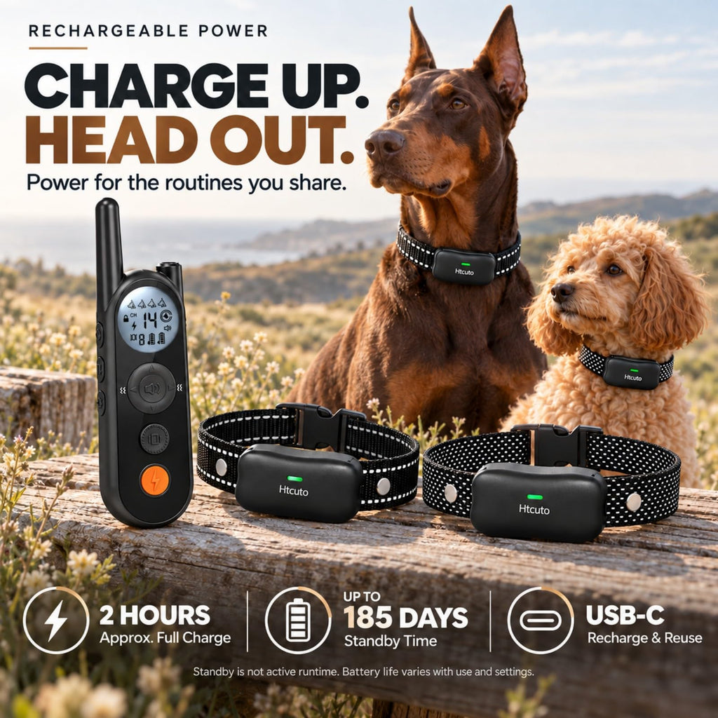 Wireless Dog Fence for 2 Dogs, 2-in-1 Electric Fence and Training Collar System, Up to 856 Acres, 5900FT Remote Range, 185-Day Standby, 3 Training Modes, LED Flashlight, IPX7 Waterproof, Black