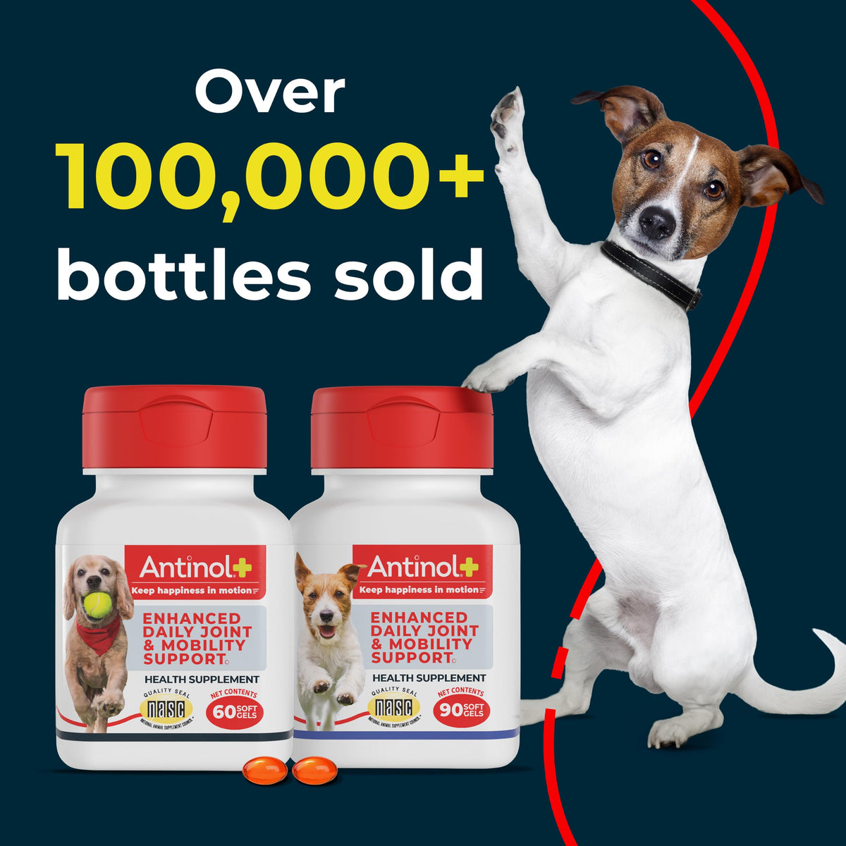 Antinol Plus Mobility Hip & Joint Supplement for Dogs, 180 Soft Gels
