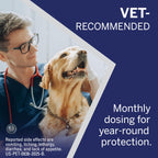 NexGard® (afoxolaner) Flea and Tick Protection for Dogs Oral Soft Beef Flavored Chewables, 24.1 to 60 lbs. (Purple Box) 6 Chews (6 Month Supply)