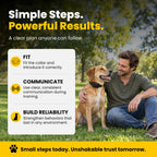 Educator ET-302 Mini E Collar for Dog Training with Remote - 1/2 Mile Range, Waterproof, 100 Blunt Stimulation Levels, Tone or Vibration Mode, Night Light for Small, Medium & Large Dogs (2 Dogs)