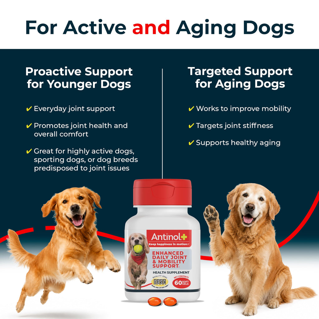 Antinol Plus Mobility Hip & Joint Supplement for Dogs, 180 Soft Gels