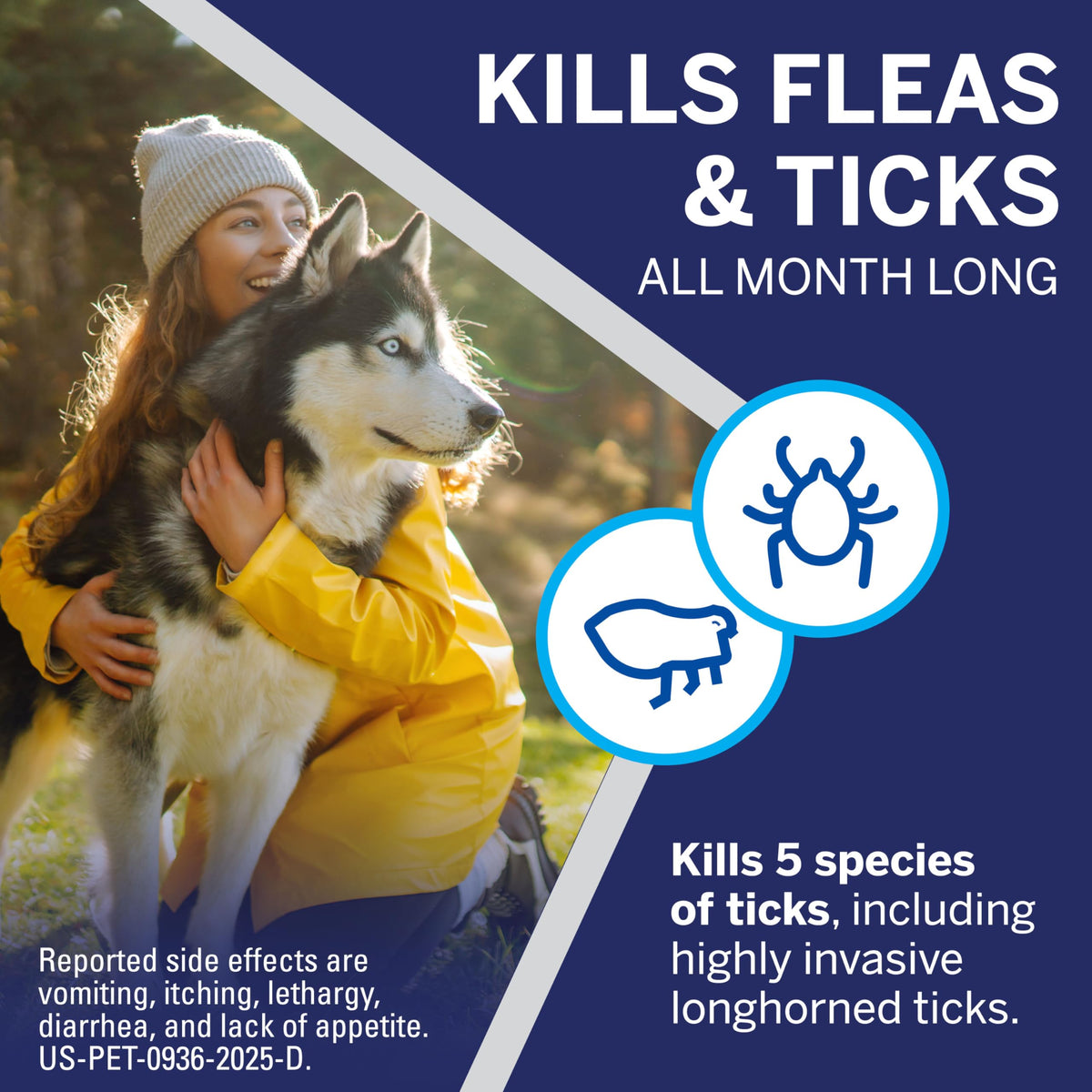 NexGard® (afoxolaner) Flea and Tick Protection for Dogs Oral Soft Beef Flavored Chewables, 24.1 to 60 lbs. (Purple Box) 6 Chews (6 Month Supply)