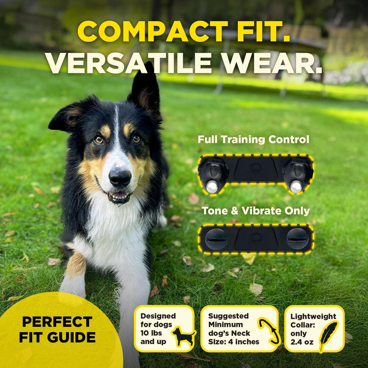 Dogtra 200iQ 2-Dog Remote Training E-Collar with Titanium Contact 1" | 1/2 Mile Range, 100 Levels, Tone & Vibration, Compact, Waterproof, One-Handed Control, Ideal for Long-Haired Dogs