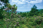 Kentucky: Seasons of the Bluegrass