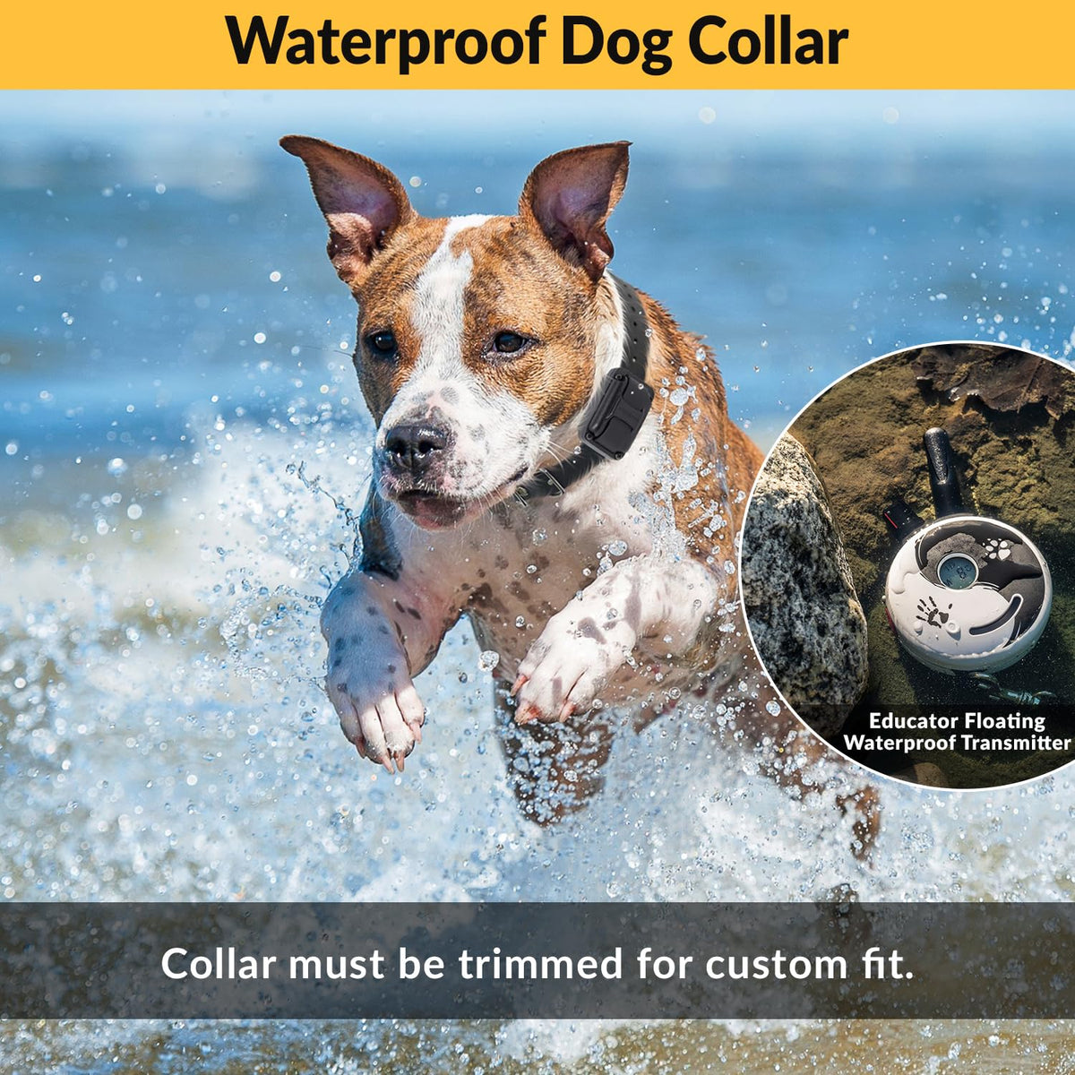 E-Collar Educator ZEN-302 Remote Dog Training Collar, 2 Dog