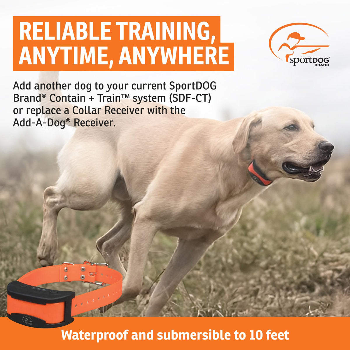 SportDOG Contain + Train Add-A-Dog Collar