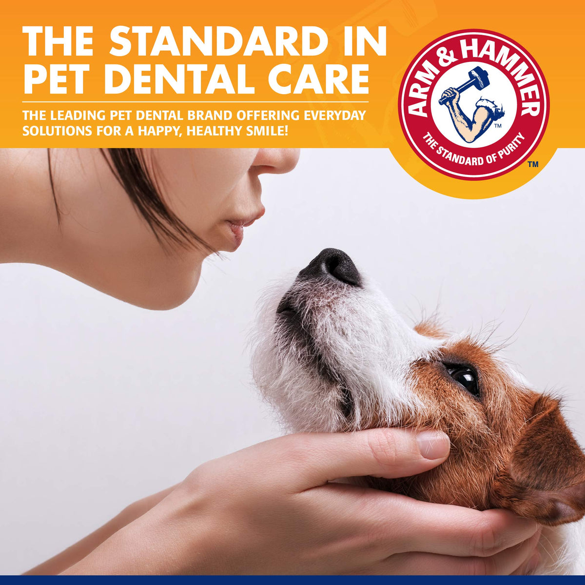 Arm & Hammer Dog Toothpaste, Enzymatic Tartar Control, 72 Pack