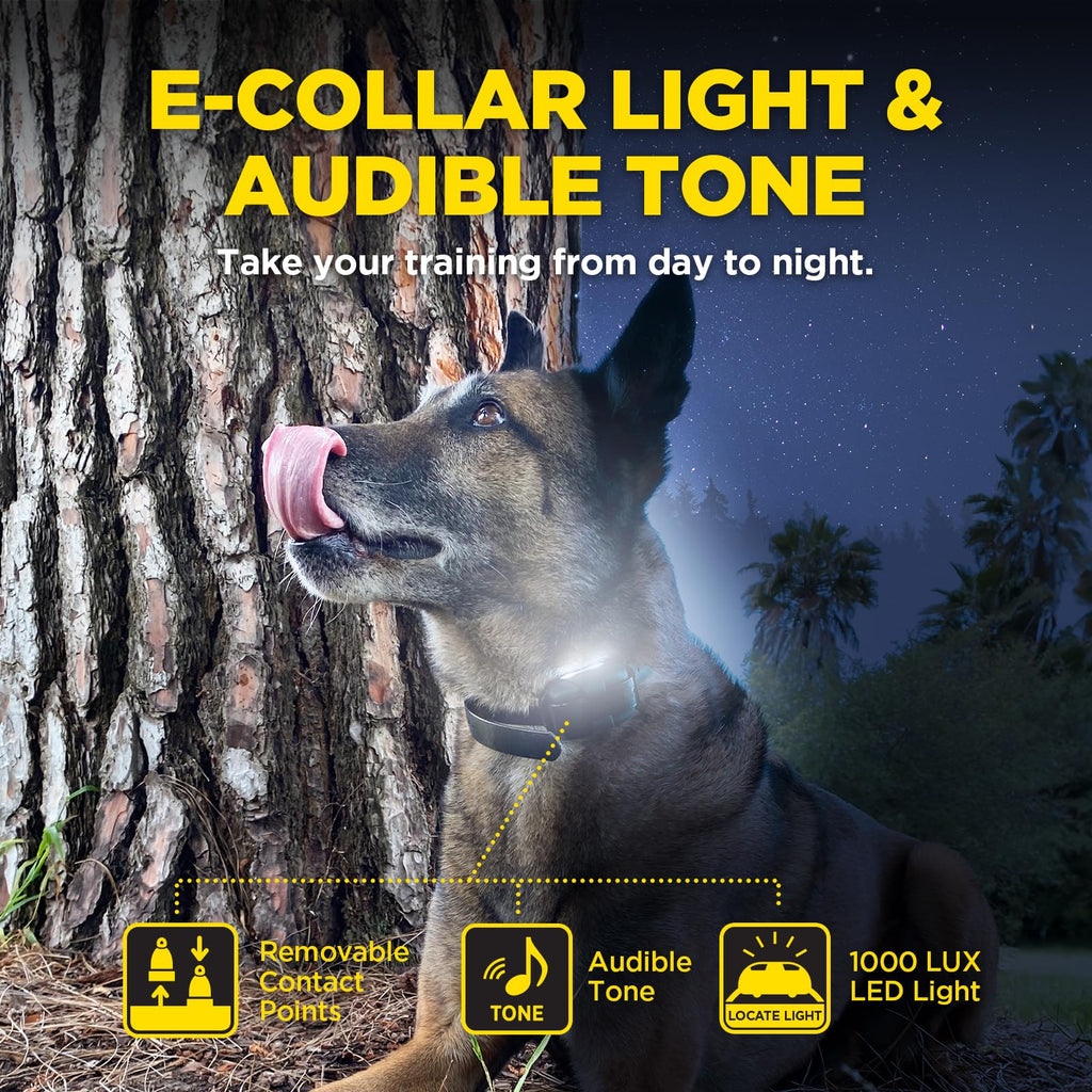 Dogtra 1900X Additional Receiver for E-Collar Training, Rugged, Waterproof, 100-Level Stimulation, for Dogs 45 lbs+, Expand to Multi-Dog System