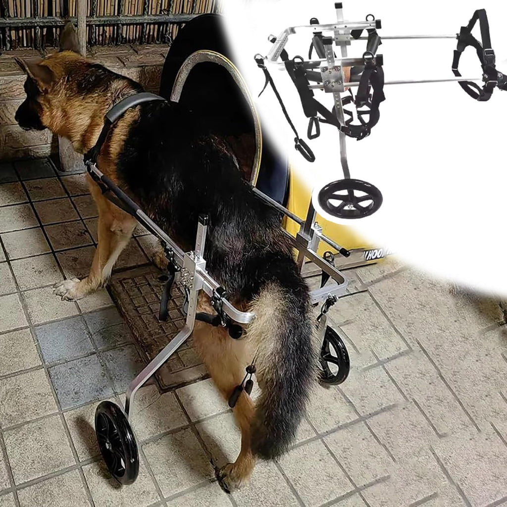 Back Legs Dog Wheelchair for Medium/Large, Adjustable Leg Brace Pet Mobility Aid Fit All Terrain, Animal Arthritis Mobility Support Trolley(Size XL)