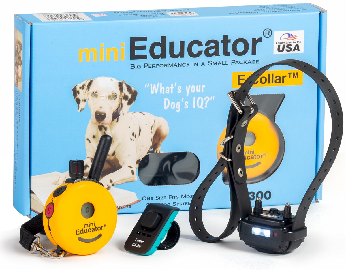 E-Collar Educator ET-302R-C Remote Dog Training Collar, 2 Dog, Red