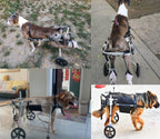 Back Legs Dog Wheelchair for Medium/Large, Adjustable Leg Brace Pet Mobility Aid Fit All Terrain, Animal Arthritis Mobility Support Trolley(Size XL)