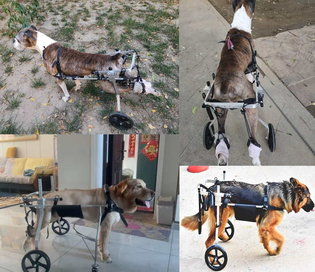 Back Legs Dog Wheelchair for Medium/Large, Adjustable Leg Brace Pet Mobility Aid Fit All Terrain, Animal Arthritis Mobility Support Trolley(Size XL)