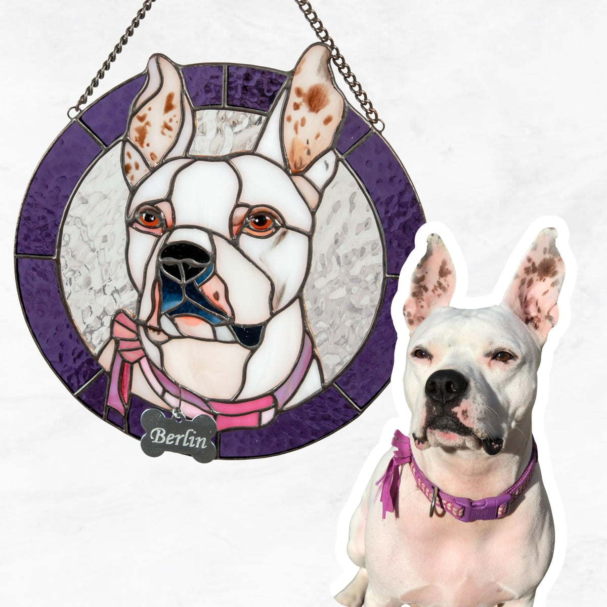 Custom Stained Glass Pet Portrait – Personalized Memorial Pet Gift – Handmade Window Hanging with Name Tag Unique Stained Glass Art for Cat and Dog Lover (Round)