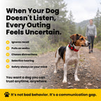 Educator ET-302 Mini E Collar for Dog Training with Remote - 1/2 Mile Range, Waterproof, 100 Blunt Stimulation Levels, Tone or Vibration Mode, Night Light for Small, Medium & Large Dogs (2 Dogs)
