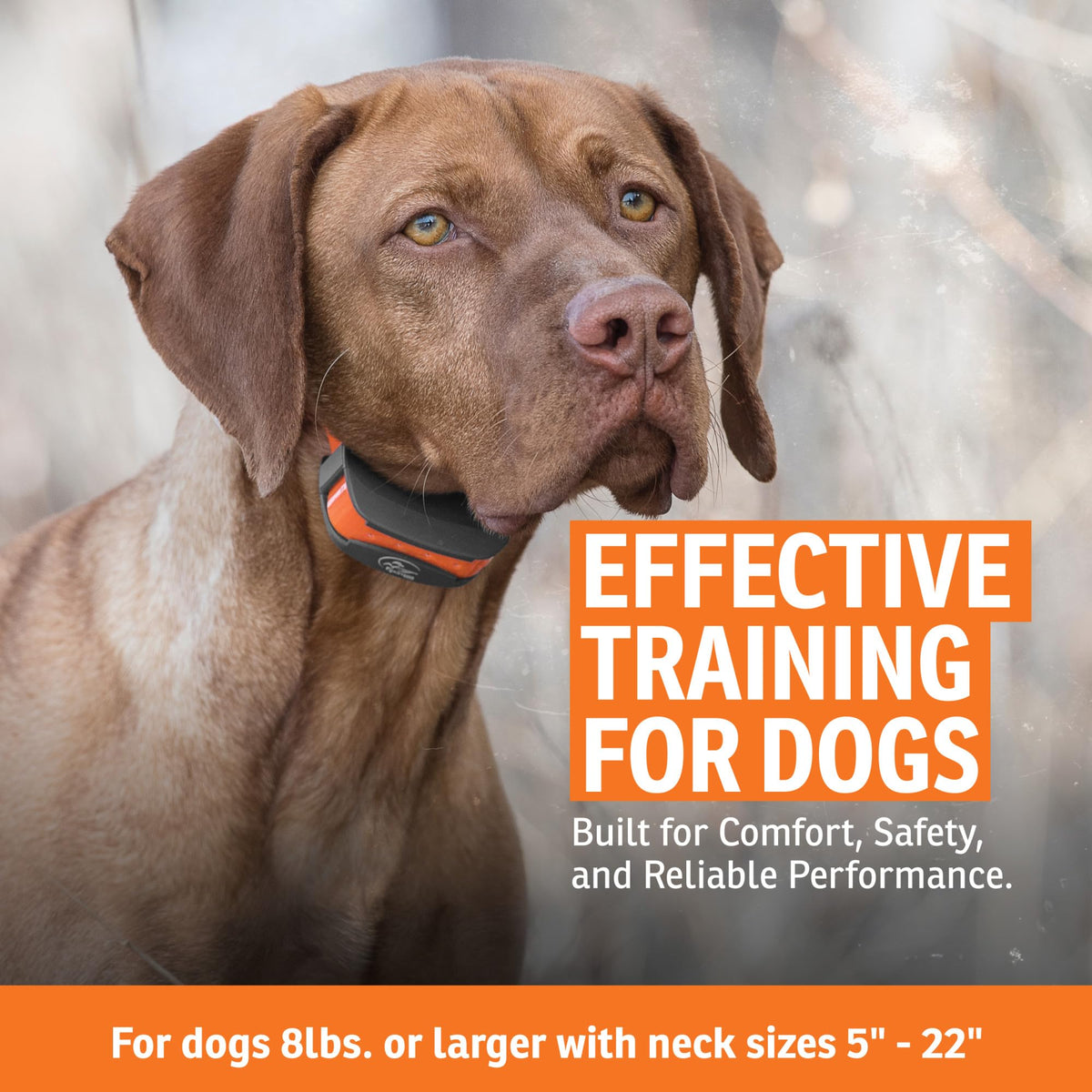 SportDOG SportTrainer 575 Remote Dog Trainer, Orange, 500-Yard Range