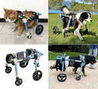 Adjustable 4-Wheel Dog Wheelchair for Back Legs - Pet Mobility Aid for All Breeds - Full Support Leg Braces for Small, Medium & Large Dogs - Enhance Mobility & Comfort