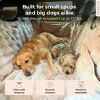 Pelsbarn Luxurious Dog Backseat Protector, Car Hammock with Blanket, Beige