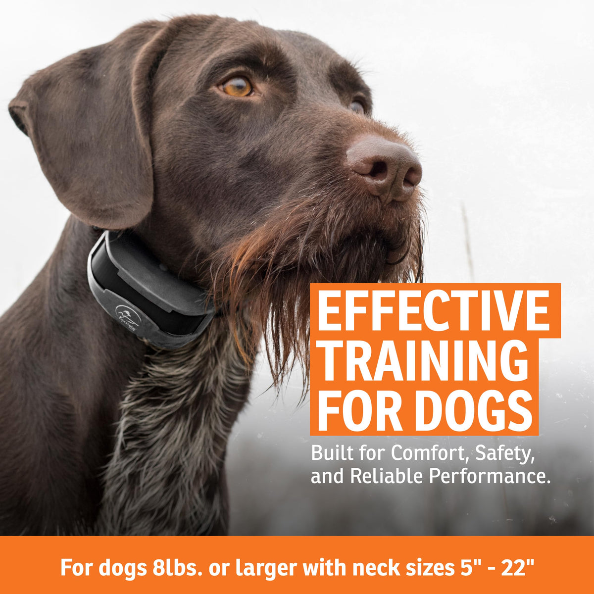 SportDOG SportTrainer 1275 Remote Dog Trainer, Black , 3/4 Mile Range