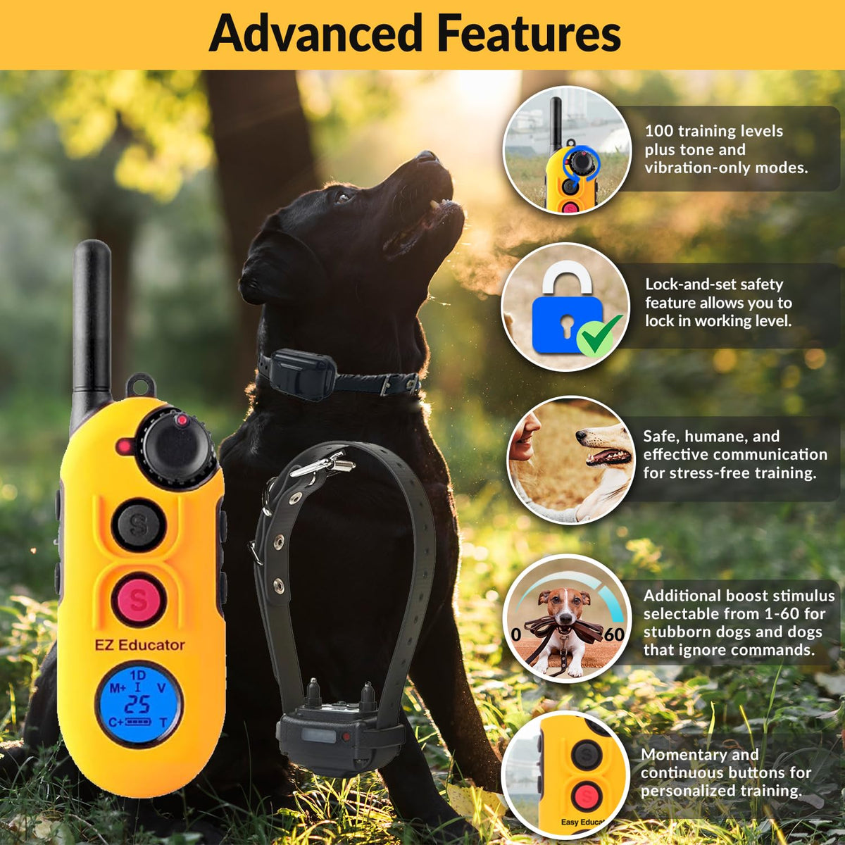 E-Collar Educator EZ-900 Dog Training Collar with Remote, Yellow