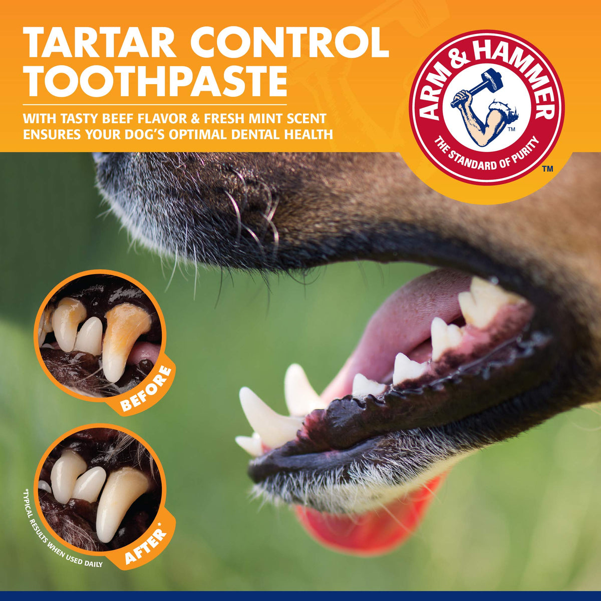 Arm & Hammer - Dog Toothpaste, Toothbrush Kit, Baking Soda, 48 Pack